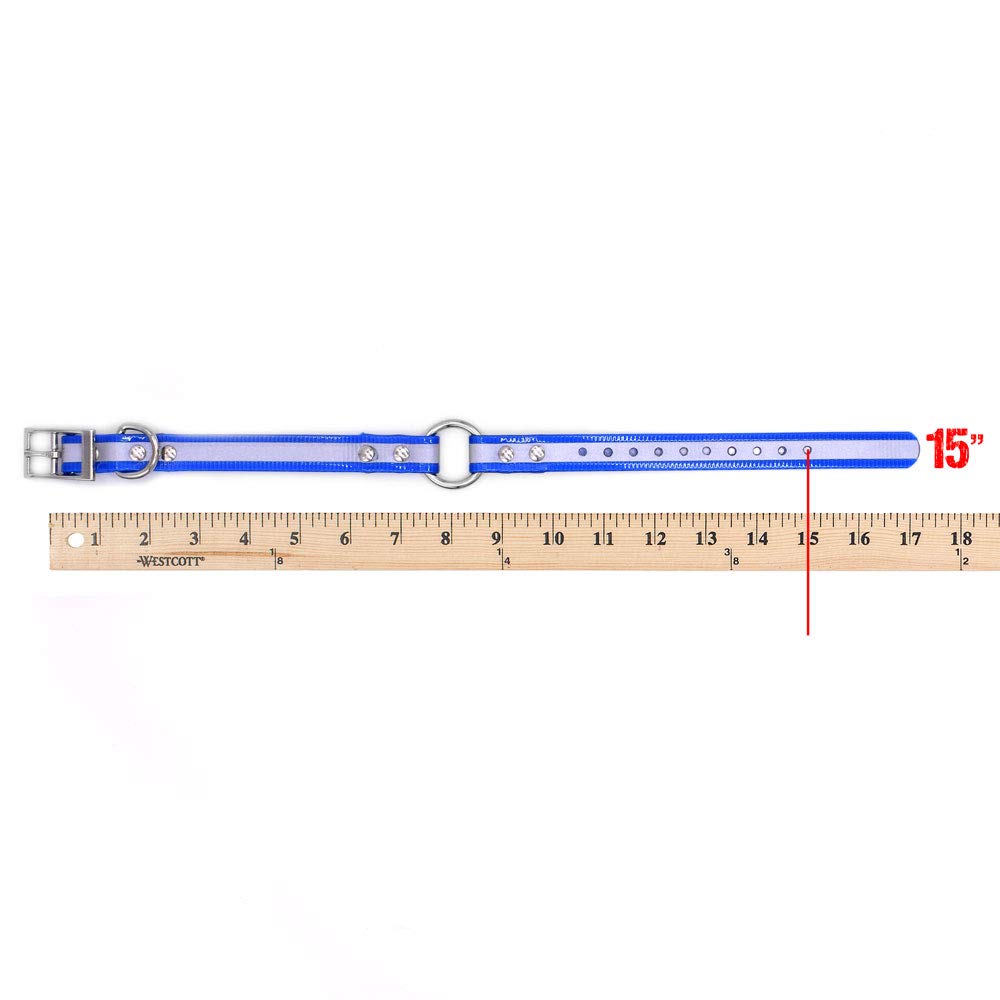 Outdoor Dog Supply 3/4" Wide & 15" Small D & Center Ring Dog Collar Strap with Custom 3/4" Brass Nameplate (Black) - Image 5